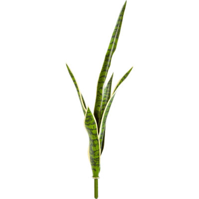 Сансевиерия / Sansevieria растение искусственное