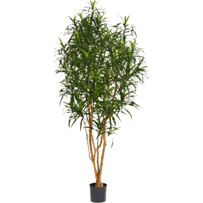 Драцена Анита дерево / Dracaena anita tree растение искусственное