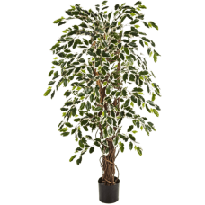 Фикус Лиана / Ficus liana var. растение искусственное