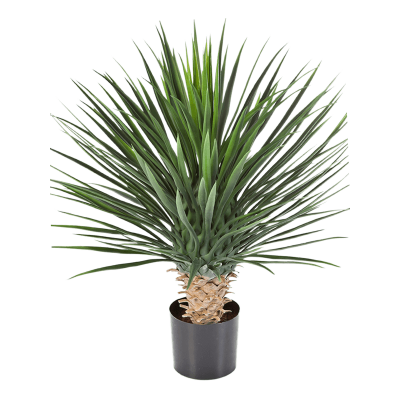 Юкка Рострата люкс / Yucca rostrata растение искусственное