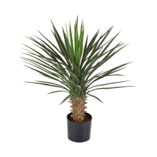 Юкка Рострата / Yucca rostrata растение искусственное