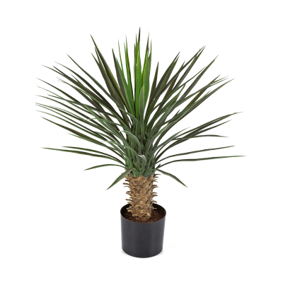 Юкка Рострата / Yucca rostrata растение искусственное