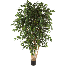 Фикус / Ficus exotica растение искусственное