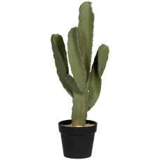 Кактусы / Cactus Cereus растение искусственное