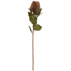 Банксия / Banksia растение искусственное