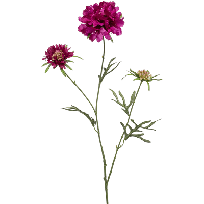 Скабиоза / Scabiosa растение искусственное