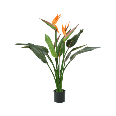 Стрелиция / Strelitzia растение искусственное