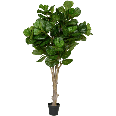 Фикус / Ficus lyrata растение искусственное