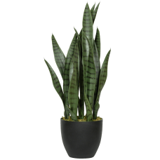 Сансевиерия / Sansevieria растение искусственное