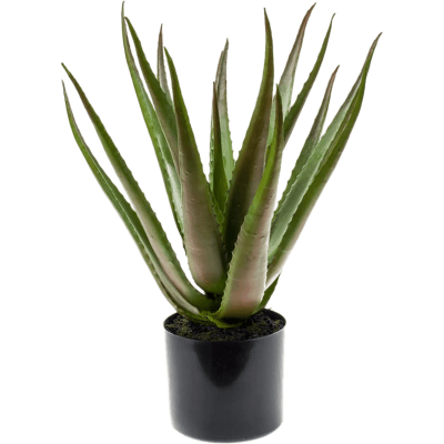 Алоэ в кашпо / Aloe plant растение искусственное