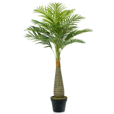 Пальма в кашпо / Hyophorbe palm растение искусственное