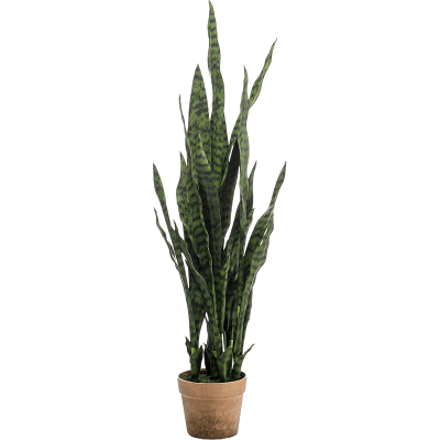 Сансевиерия в кашпо / Sansevieria растение искусственное