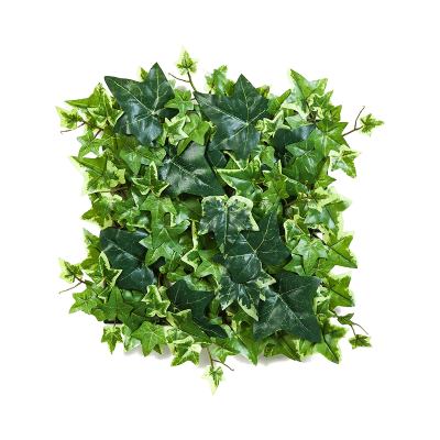 Ива / Variegated ivy растение искусственное