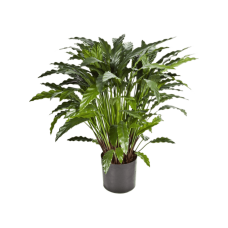 Калатея / Calathea растение искусственное