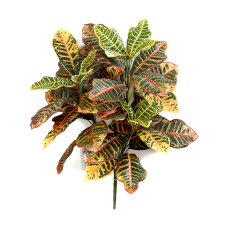 Кротон / Croton растение искусственное