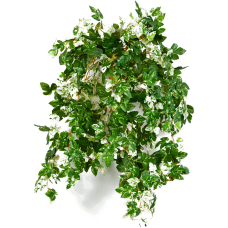 Ампелопсис мини / Mini ampelopsis растение искусственное