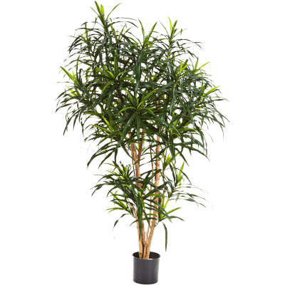 Драцена Рефлекса дерево / Dracaena reflexa растение искусственное