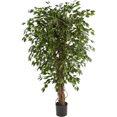 Фикус Гавайский лиана / Ficus hawaiian liana растение искусственное