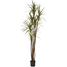 Драцена Маджента / Dracaena magenta растение искусственное