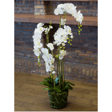 Фаленопсис / Phalaenopsis plant растение искусственное