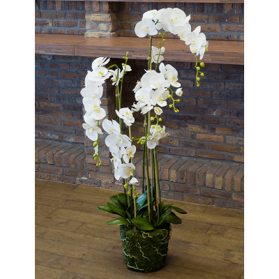 Фаленопсис / Phalaenopsis plant растение искусственное