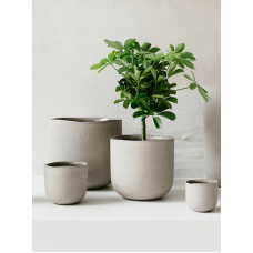 Lily Pot Mini Grey