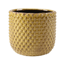 Bolino Pot Yellow