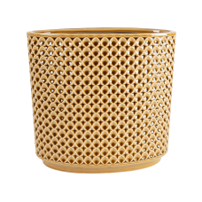 Thies Planter Mustard