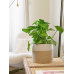 Кашпо керамическое Icon Large Orchidpot White