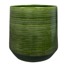 Remi Pot Green