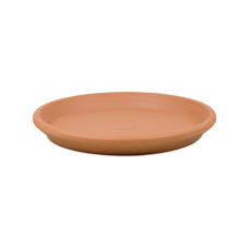 Terra Cotta Dish