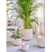 Кашпо керамическое Lily Orchidpot White