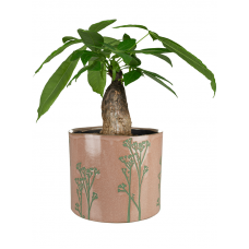 Cilla Pot Pink