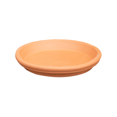 Terra Cotta Dish