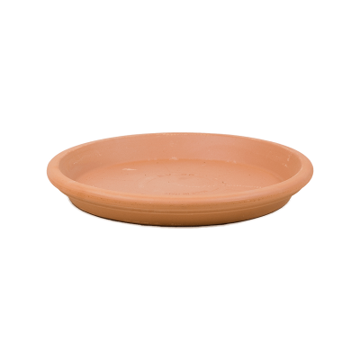 Кашпо керамическое Terra Cotta Dish