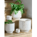 Кашпо керамическое Java Orchidpot White