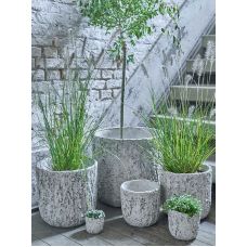 Scrape Large Orchidpot Light Grey