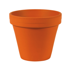 Terra Cotta Flowerpot