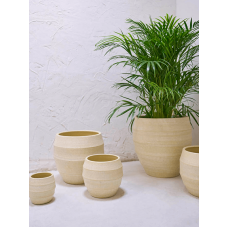 Bamboo Orchidpot Butter