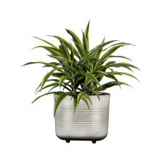 Denise Planter Off White