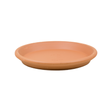 Terra Cotta Dish