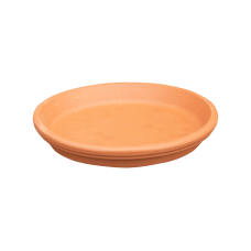 Terra Cotta Dish