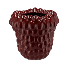 Raspberry Vase Bordeaux