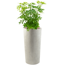 Grigio Vase Tall Antique White-concrete