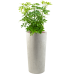 Кашпо Grigio Vase Tall Antique White-concrete