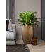 Кашпо Capi Nature Groove Vase Elegant Deluxe Black Gold