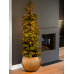 Кашпо Capi Nature Groove Vase Ball Black Gold