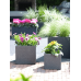 Кашпо Ivo Pot Black (set of 5)
