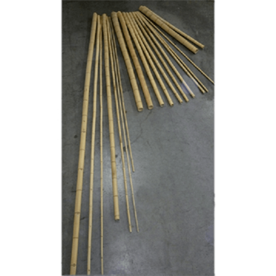 Decowood Bamboo natural (10-12 cm/600 cm)