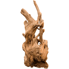Decowood Teak root eroded A